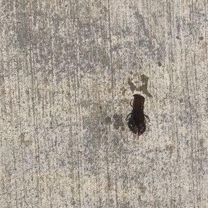 Meet your Posher, Caylee